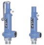 Niezgodka Type 10 Safety-Valve